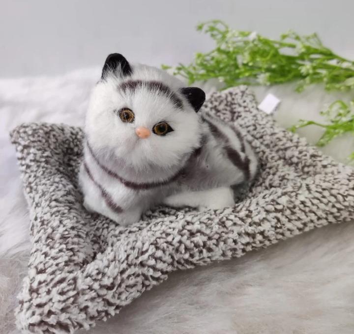 Cat Decor
